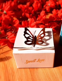 Butterfly chocolate Favor box